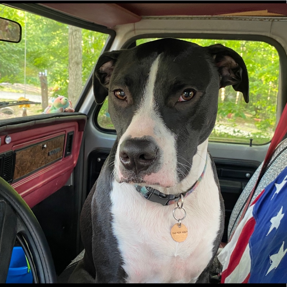 Proceeds go towards.....